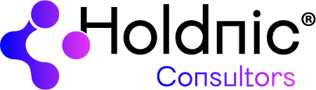 Holdnic Consultors